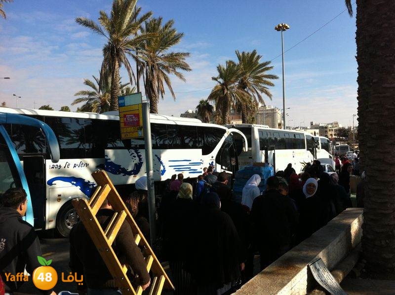 yaffa byareq 0114 (14).jpg